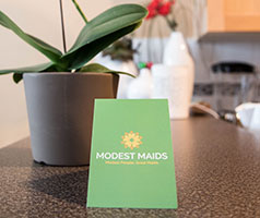 modest maids cleaning business